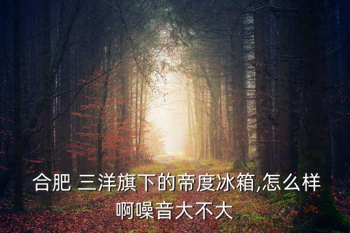 合肥三洋怎么樣,三洋洗衣機維修工人:我是對口專業的