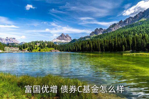 嘉實債券怎么樣,短債基金包括諾安債券、友邦短債、嘉實超短債