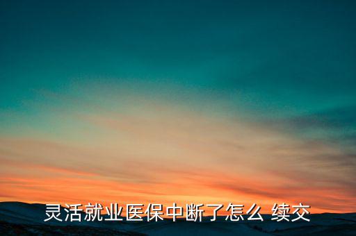 統籌怎么續交,連續中斷繳費滿3個月后可恢復繳費