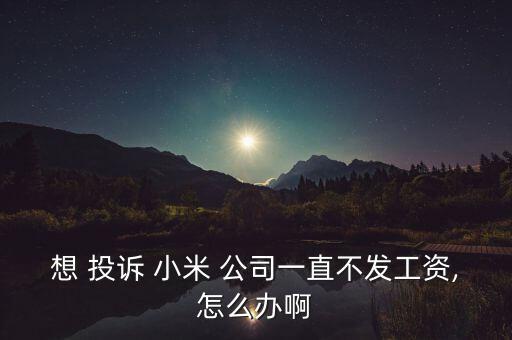 想 投訴 小米 公司一直不發工資,怎么辦啊
