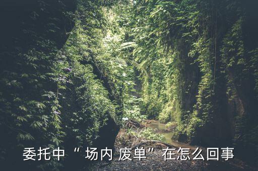 場內廢單怎么處理方法,股票不受波動區間限制不會產生場內廢單