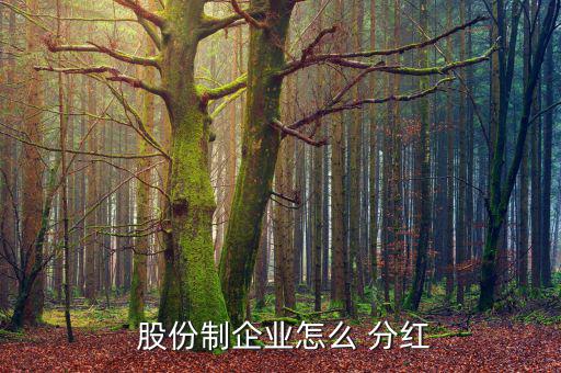  股份制企業怎么 分紅