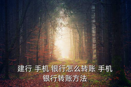  建行 手機 銀行怎么轉賬 手機 銀行轉賬方法