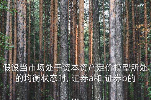 證券a收益率怎么規定,實際收益率=/-1
