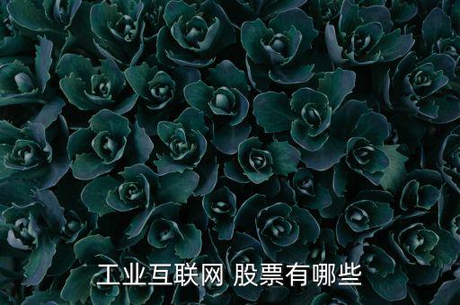 工業互聯網 股票有哪些