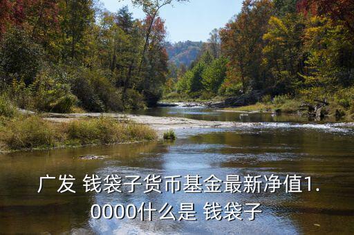  廣發 錢袋子貨幣基金最新凈值1.0000什么是 錢袋子