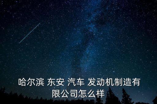  哈爾濱 東安 汽車 發動機制造有限公司怎么樣