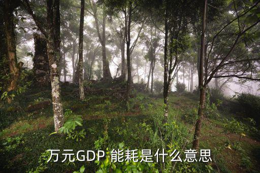 萬元gdp能耗怎么算,工業企業單位gdp能耗為1000萬元