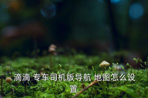 滴滴專車怎么不能改地圖,加盟滴滴出租車優勢: