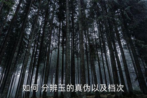 如何 分辨玉的真偽以及檔次