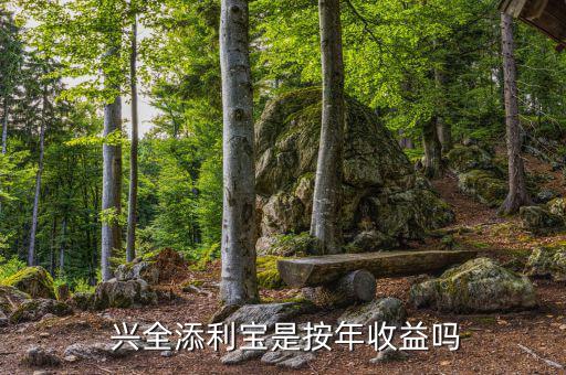 興全貨幣基金怎么樣,興業銀行黃金投資理財新產品掌柜金生寶