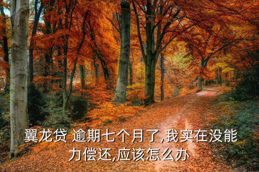 翼龍貸逾期怎么處理,借款人逾期還款30天可申請轉讓債務