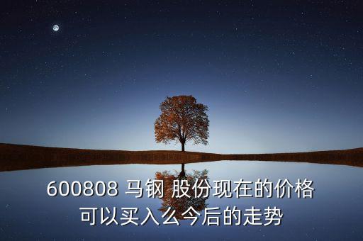 600808 馬鋼 股份現在的價格可以買入么今后的走勢