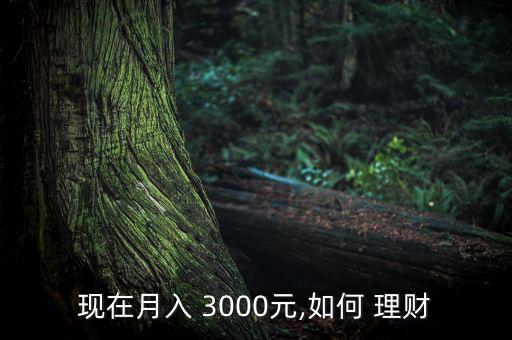 現在月入 3000元,如何 理財
