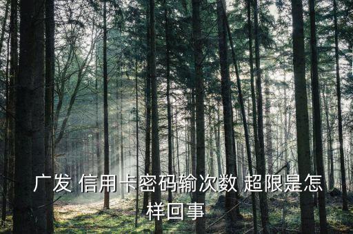  廣發 信用卡密碼輸次數 超限是怎樣回事