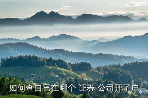 怎么查股票開戶證券公司,券商營業部如何查詢股票