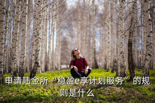 申請陸金所“穩盈e享計劃服務”的規則是什么