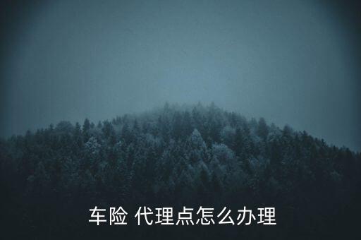 車險代理公司怎么開,保險代理-2/指依法設立的專業保險機構