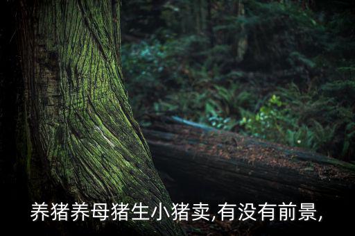 養豬養母豬生小豬賣,有沒有前景,