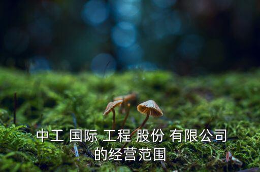 中工國際工程股份有限公司怎么樣,中工國際在香港注冊(cè)