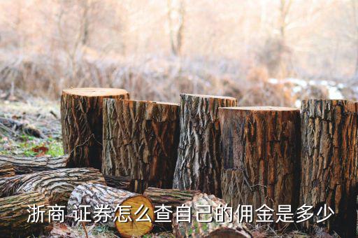 浙商證券交易費怎么這么多,浙商證券沒有統一的傭金率