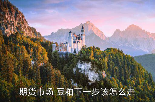 豆粕行情怎么起不來,國內豆粕面臨供應壓力油水養殖消費疲軟