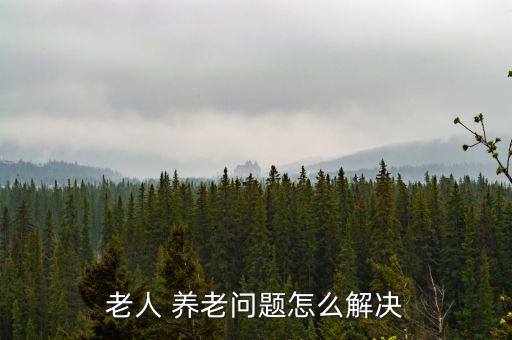 中國人今后怎么養老,中國將有上億老人需要解決養老問題