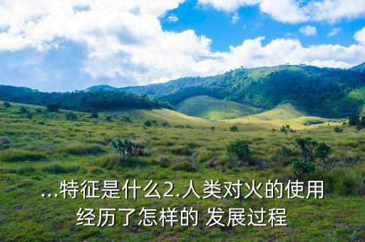 ...特征是什么2.人類對火的使用經歷了怎樣的 發展過程