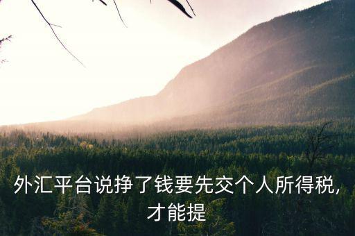 匯投網怎么提現,理財有道