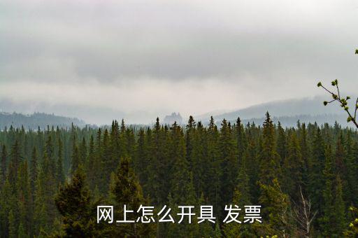 網店發票怎么弄,淘寶沒強制要求天貓店鋪開通發票應用