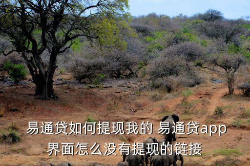 易通貸怎么捆綁銀行卡,如何申請提現?