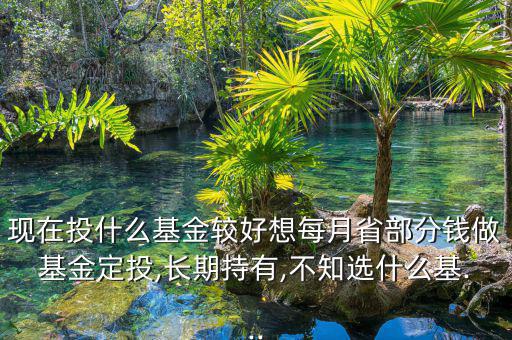 南方優選價值怎么樣,個人認為選擇指數基金定投比較合適