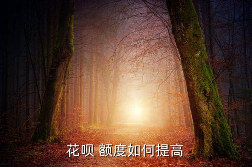 怎么提高花唄額度,如果用戶符合提現條件系統會自動提現金額