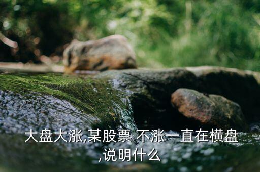 大盤漲個股不漲怎么辦,今天是二類股(正規軍是龍頭哈哈哈