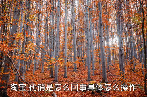 天貓代銷怎么樣,淘寶貨源代理銷售有何優勢和弊端?