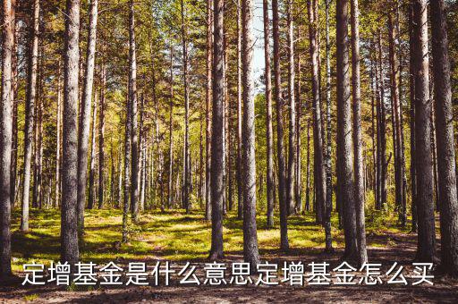 怎么查定增名單,如何買定向增發基金?可從下列渠道購買
