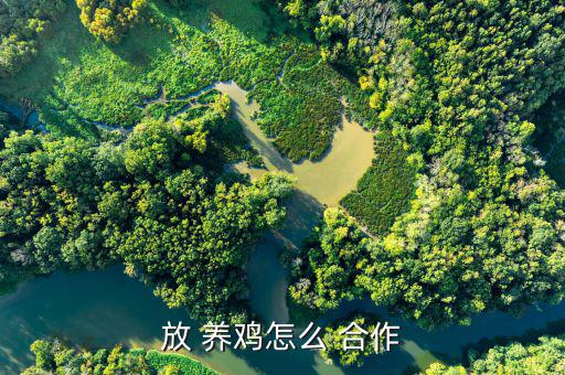 放 養雞怎么 合作