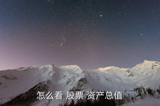 怎么看 股票 資產總值