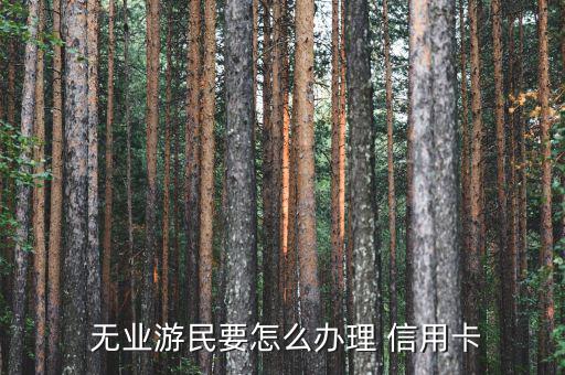 無業人員怎么辦信用卡,新加坡人如何申請信用卡?