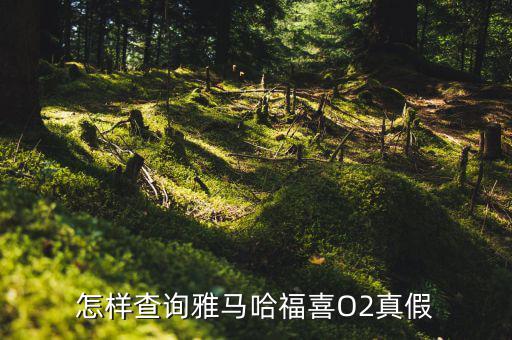 福喜怎么被發現,福喜國三沒有雅馬哈和喬哥車型銷量不如預期