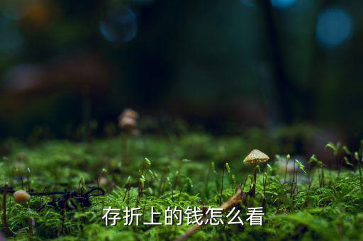 存折的錢怎么看,存折又稱紅寶書記錄存款人數量的書籍