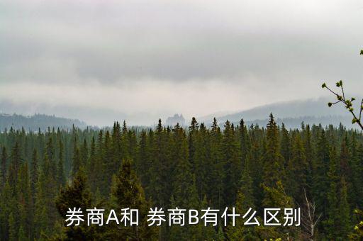  券商A和 券商B有什么區別
