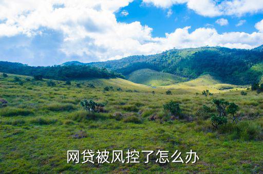  網貸被風控了怎么辦