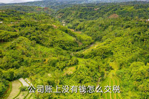 沒錢補繳稅款怎么辦,沒有足夠錢交稅?稅務機關會核定應納稅額