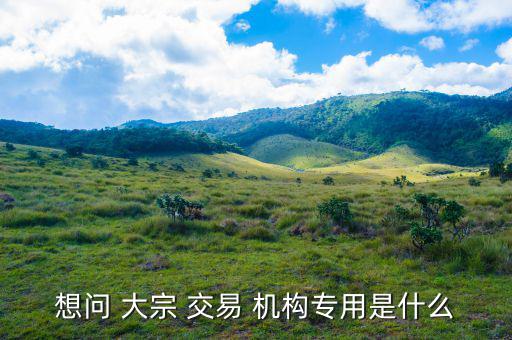 怎么看機構大宗交易,大宗-1/交易須遵守什么規則?