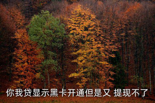 你我貸新手專享怎么提現,借款人若提現失敗有兩種情況