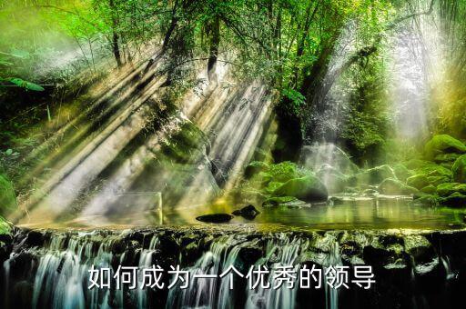 維珍創意怎么樣,如何成為一名合格領導者?