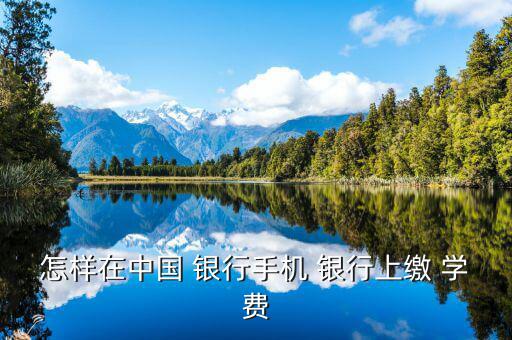 網上銀行怎么交學費,跨行轉賬匯款須注冊金融@家個人網上銀行