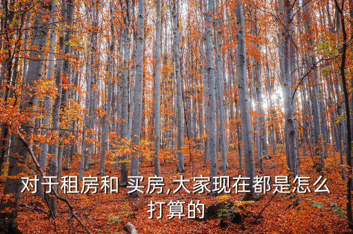 對于租房和 買房,大家現在都是怎么打算的