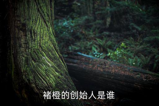 褚橙是怎么做地推的,選票熱門人選票區競選廣播